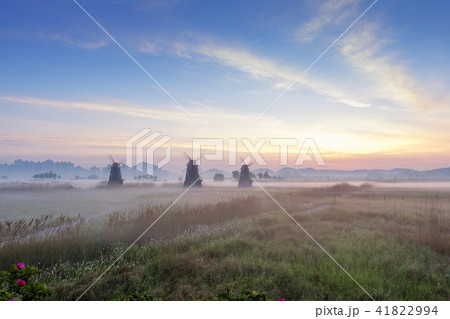 風景 湿地 風車 41822994