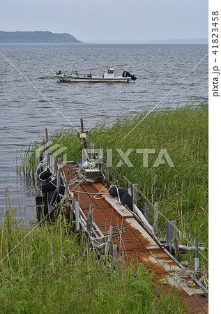 小川原湖　情景 41823458