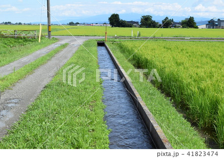 農業用水路 農業用水路 41823474