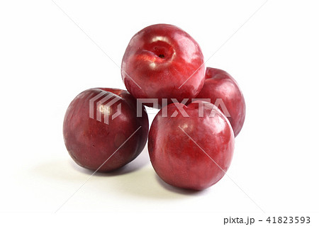 スモモ（菅野中生） 41823593