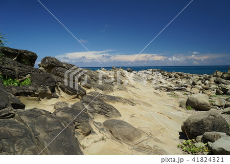 台湾 台東 景色 41824321