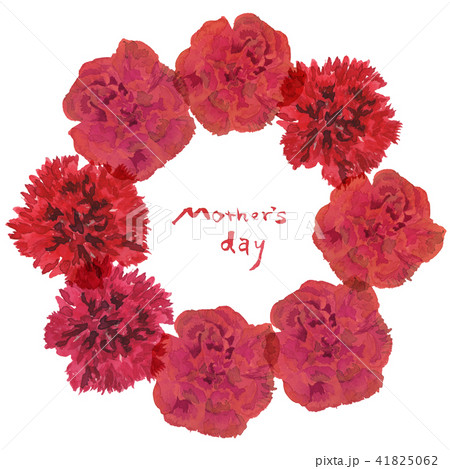 carnation wreath S 41825062