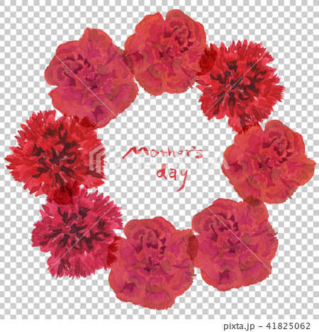 carnation wreath S 41825062