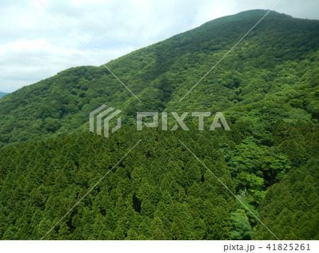 箱根山の夏 箱根山の夏 41825261