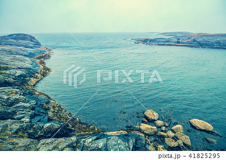 Rocky beach. Atlantic shore in the misty morning 41825295