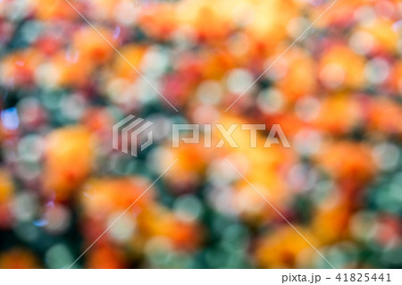 Out of focus natural floral bokeh background Out of focus natural floral bokeh background 41825441
