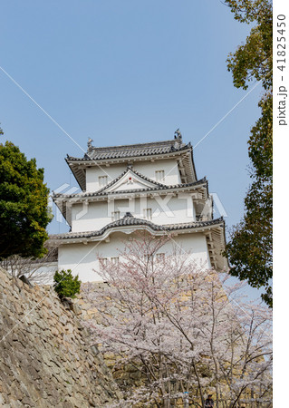 桜と明石城の櫓 桜と明石城の櫓 41825450