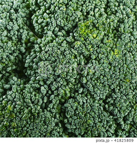 Fresh broccoli close up a background 41825809