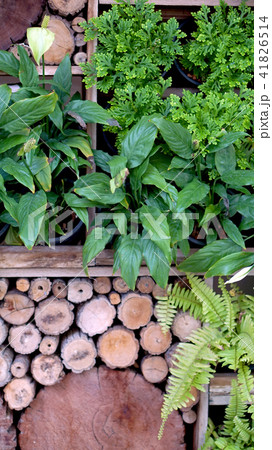 vertical garden design vertical garden design 41826514