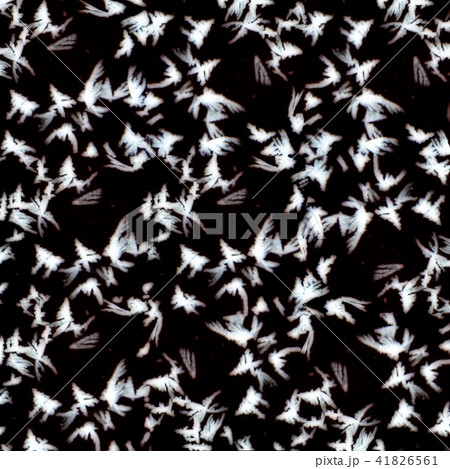 Frosty patterns on the glass.Black-white. Seamless 41826561