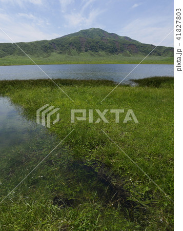 澄んだ湧き水の草千里の池 (阿蘇 熊本) 澄んだ湧き水の草千里の池 (阿蘇 熊本) 41827803