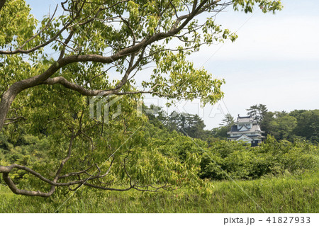 愛知県豊橋市吉田城 愛知県豊橋市吉田城 41827933