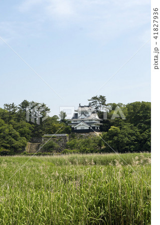 愛知県豊橋市吉田城 愛知県豊橋市吉田城 41827936