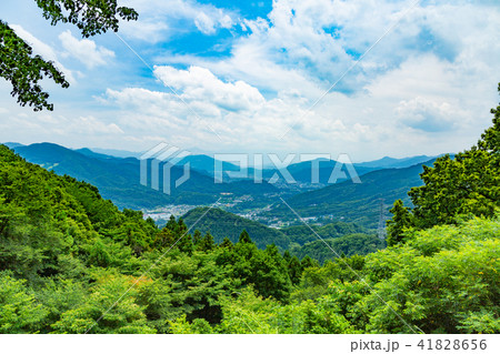 真夏の里山の風景(撮影地:長瀞町) 真夏の里山の風景(撮影地:長瀞町) 41828656