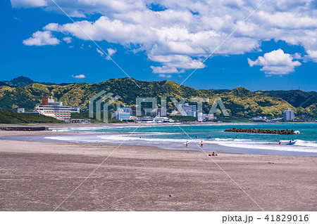 （千葉県）鴨川のビーチ 41829016