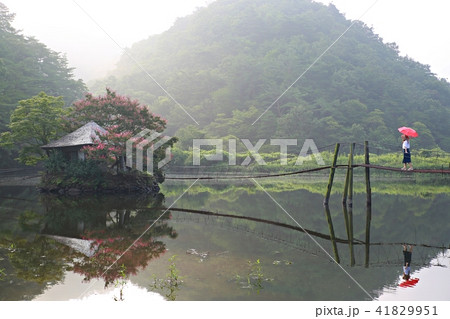 湖 風景 女性 41829951