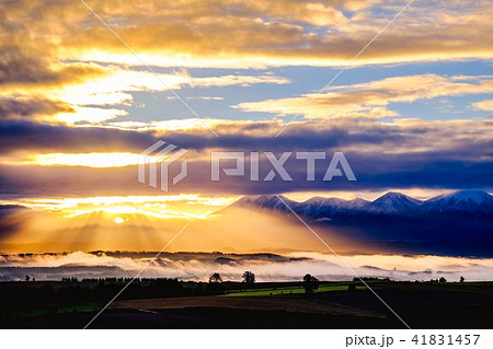 美瑛の夜明け 41831457