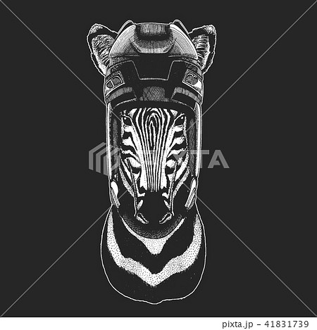 Zebra Horse Wild animal wearing hockey helmet. Print for t-shirt design. 41831739