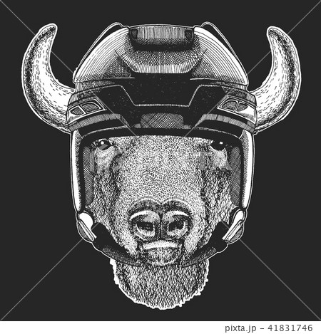 Buffalo Bison Hockey