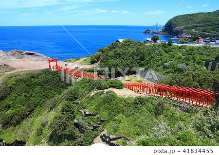元乃隅稲成神社(もとのすみいなりじんじゃ) 元乃隅稲成神社(もとのすみいなりじんじゃ) 41834455