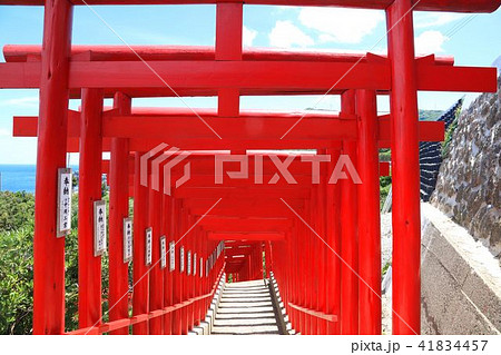 元乃隅稲成神社(もとのすみいなりじんじゃ) 41834457