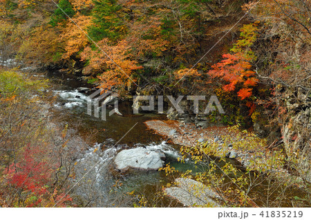 山梨県北都留郡 丹波川 丹波渓谷 山梨県北都留郡 丹波川 丹波渓谷 41835219