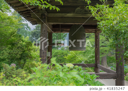 大善寺345 大善寺345 41835247