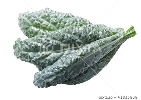 Bumpy leaf cabbage kale Tuscan Bumpy leaf cabbage kale Tuscan 41835838