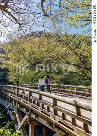 山中温泉こおろぎ橋 山中温泉こおろぎ橋 41835880