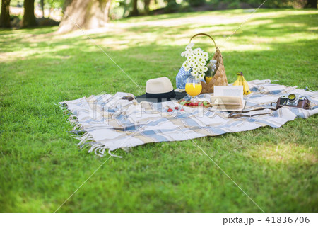 Happy sunny day at a picnic in the park. Flowers, fruits, drinks, a hat, a basket and a blanket. 41836706