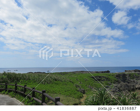 空と海（白鳥崎 西海岸公園） 41836887