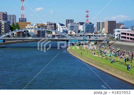 初夏の素材 静岡県狩野川 沼津鯉のぼりフェスティバル 遠景全景 御成橋方向横位置の写真素材