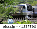 横須賀線と紫陽花４ 41837598