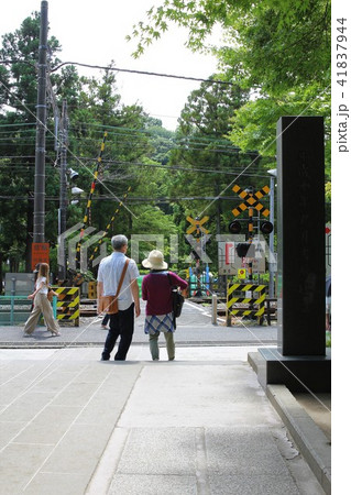 旅行する老夫婦 41837944