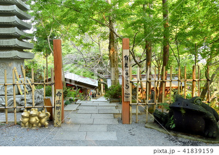 小郡市かえる寺　如意輪寺 41839159