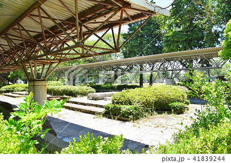 仙台 榴ヶ岡公園 仙台 榴ヶ岡公園 41839244