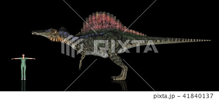 恐竜縮尺図・スピノサウルス 41840137