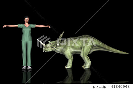 恐竜縮尺図・スティラコサウルス 41840948