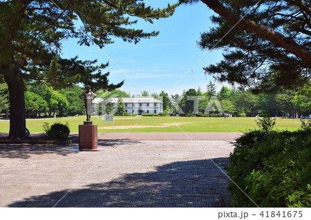 仙台 榴ヶ岡公園 仙台 榴ヶ岡公園 41841675