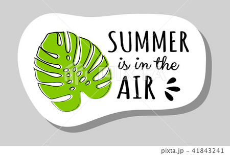 Summer is in the air - summer badge. Vector. Summer is in the air - summer badge. Vector. 41843241
