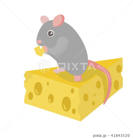 Cartoon Cute Gray Mouse on Yellow Cheese Piece. Vector 41843520