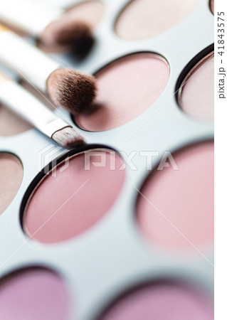 Eye Shadow Make Up Palette and Brushes Eye Shadow Make Up Palette and Brushes 41843575
