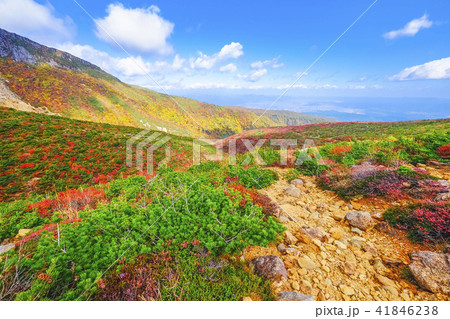 紅葉の峰の辻 41846238