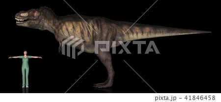 恐竜縮尺図・ティラノサウルス 41846458