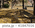 秋 紅葉 ロマンス 41847016