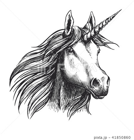 Unicorn horse vector sketch fairy tale animal head 41850860