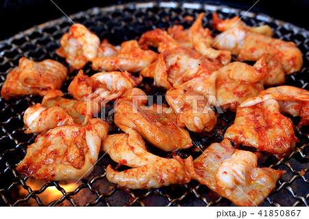 激辛ホルモン焼き肉 激辛ホルモン焼き肉 41850867