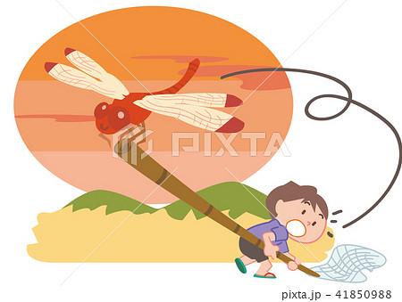 赤とんぼ02 41850988