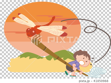 赤とんぼ02 41850988