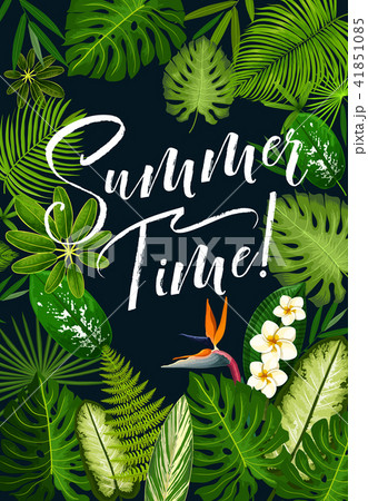 Summer holidays banner of tropical palm and flower Summer holidays banner of tropical palm and flower 41851085